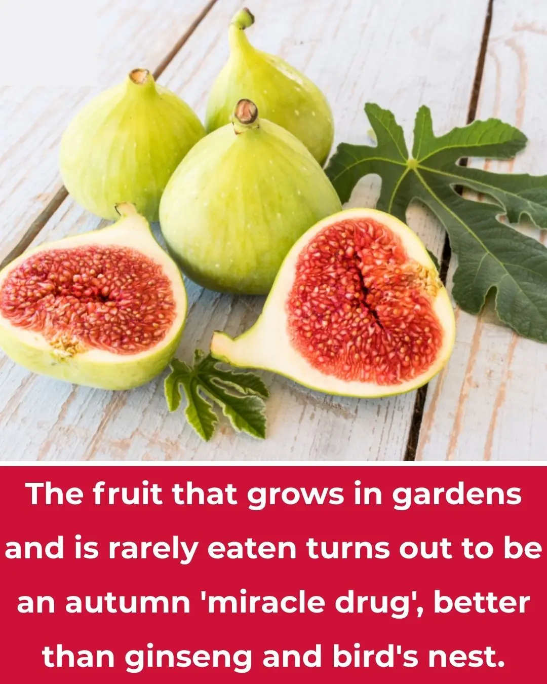 A Fruit Growing Abundantly in Gardens That Few People Eat Turns Out to Be an Autumn ‘Miracle’ Better Than Ginseng and Bird’s Nest