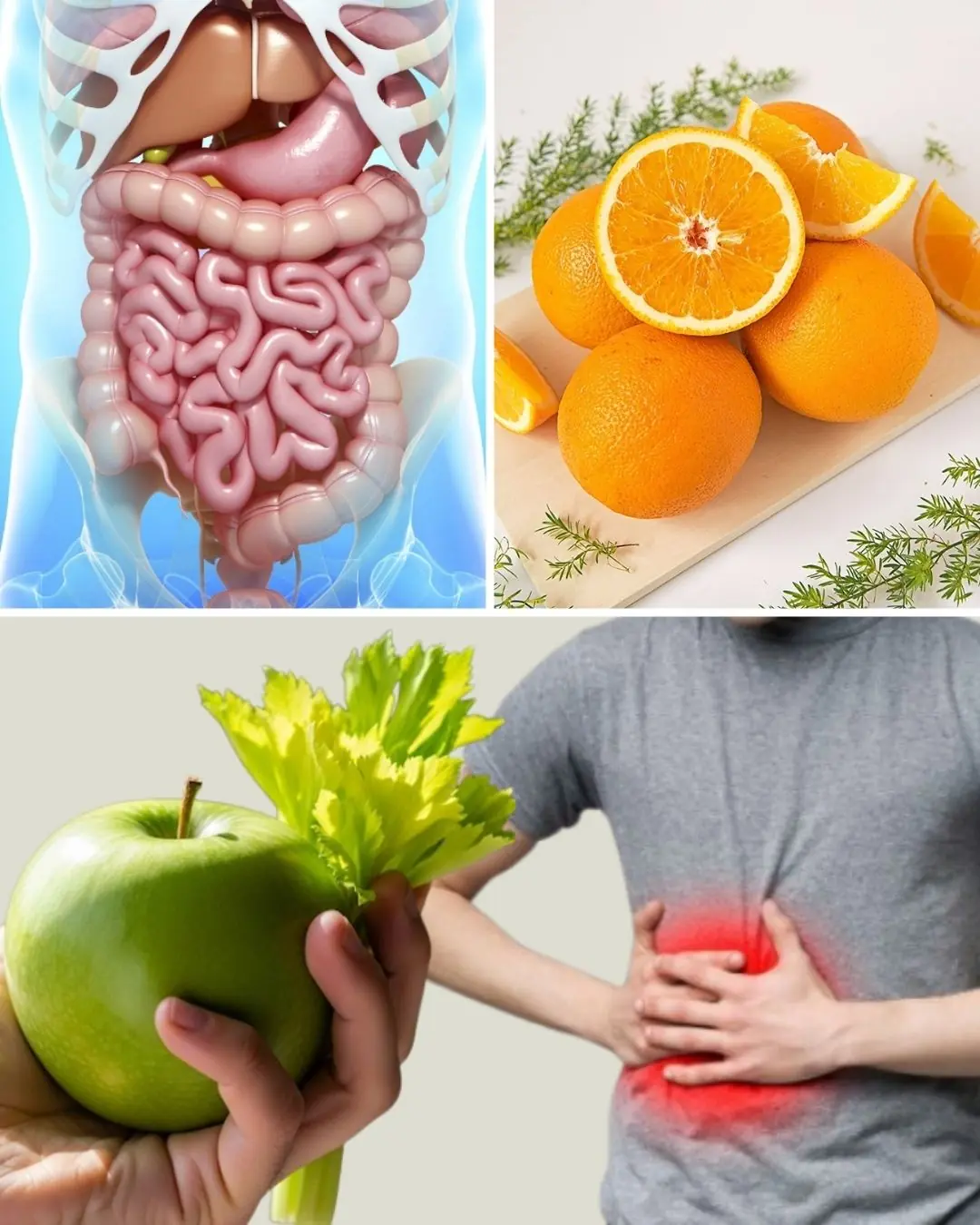 🥕 3-Day Carrot-Based Detox: Cleanse Your Liver and Intestines Naturally