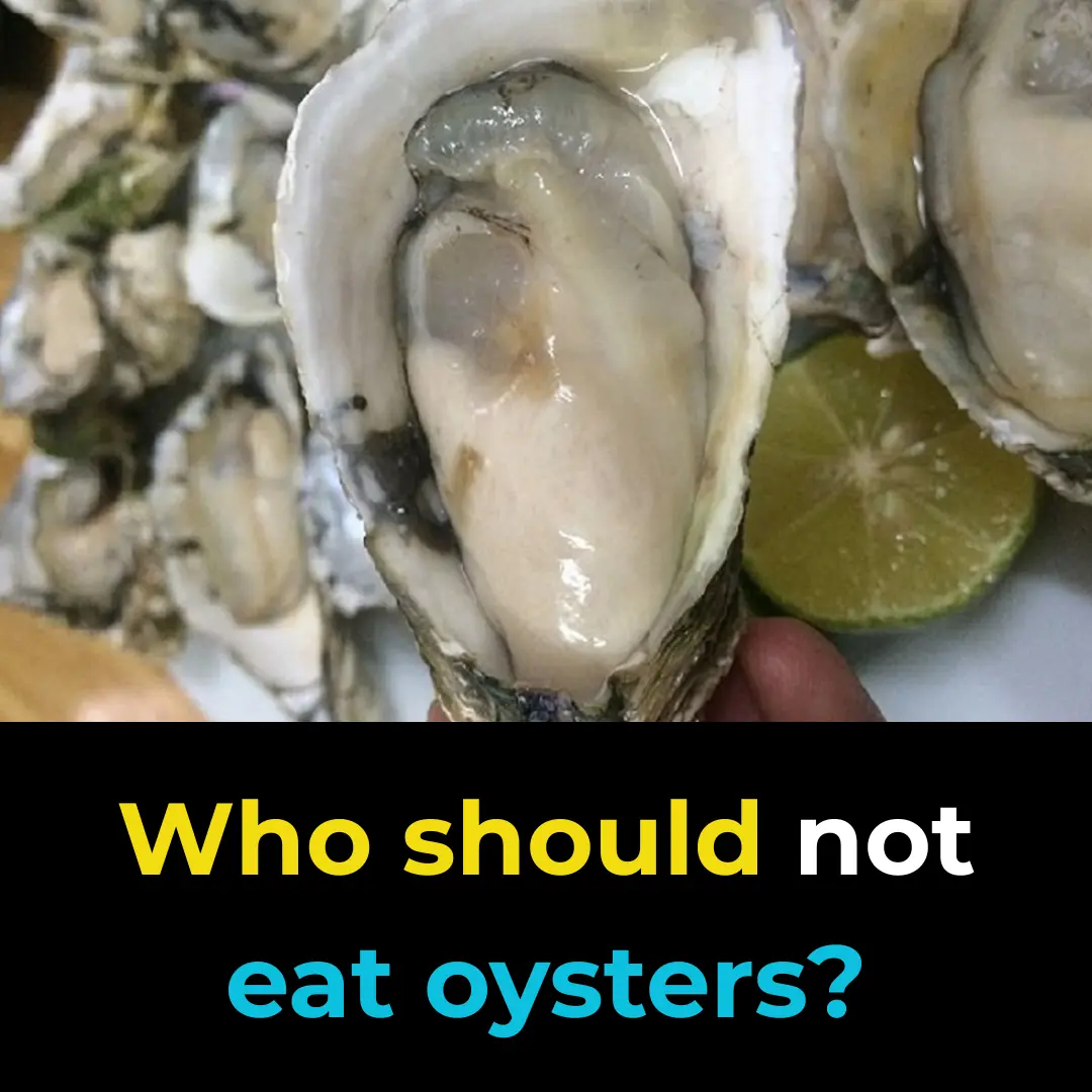 Who should not eat oysters?
