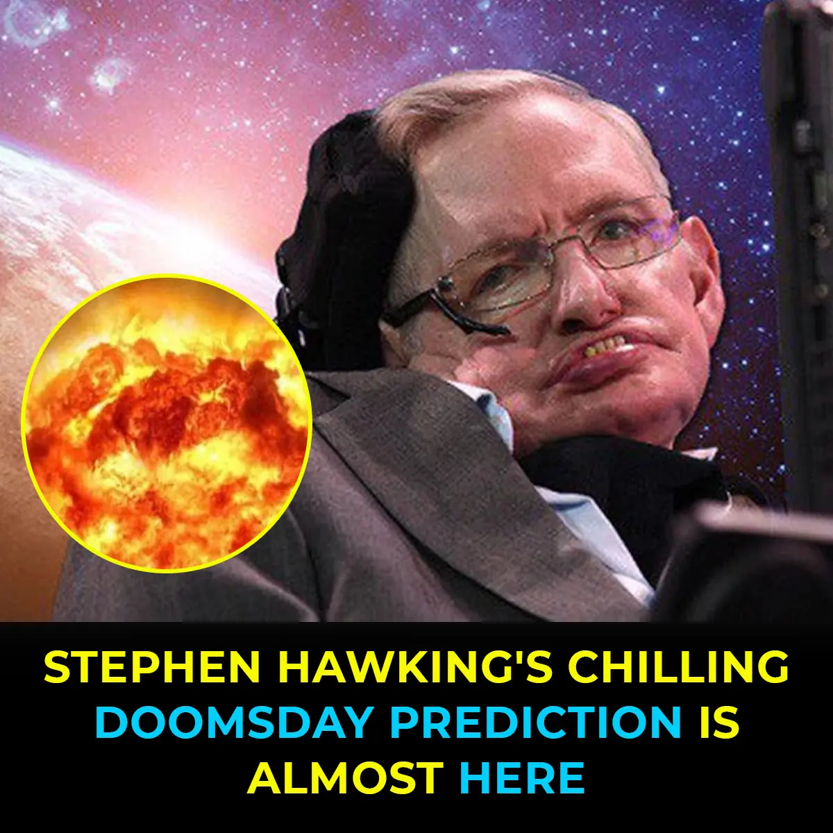 Stephen Hawking Predicts the End of the World Is Nearer Than We Think