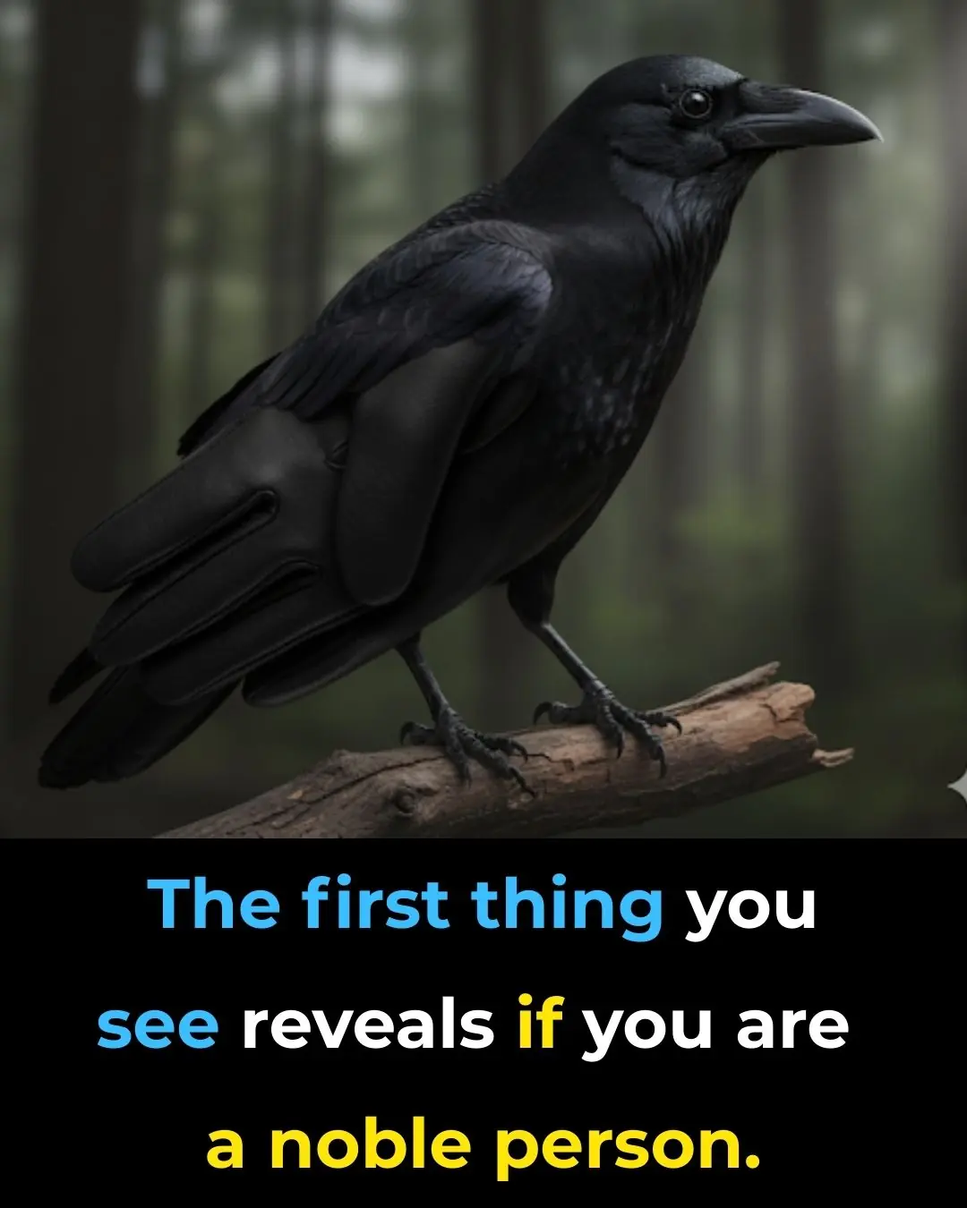They say the eyes are the windows to the soul — but what about the mind’s eye?