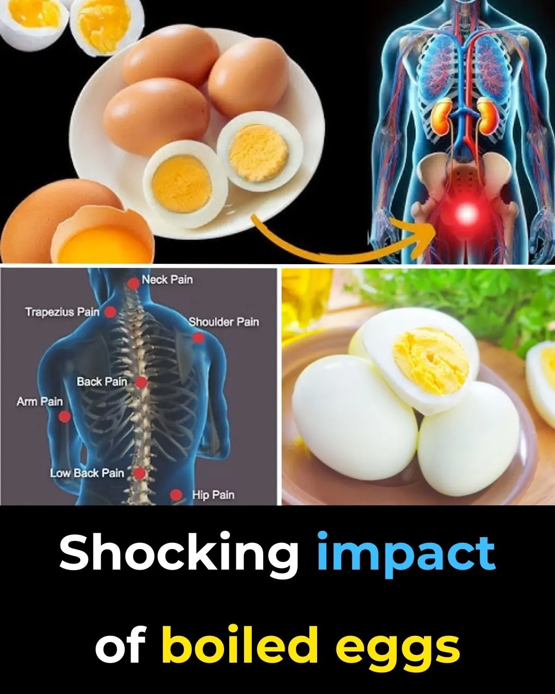 🥚 What Happens to Your Body When You Eat 2 Eggs Every Day?