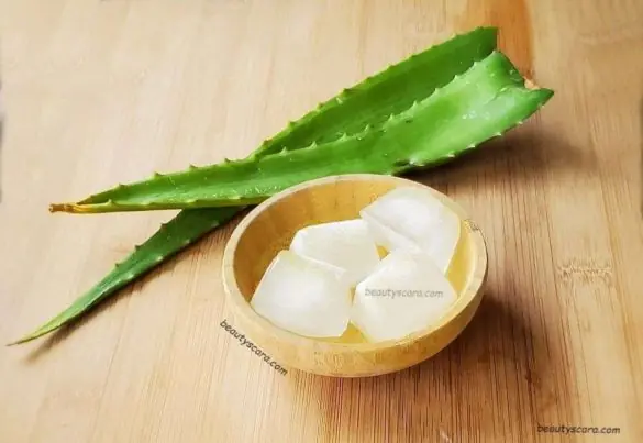 DIY Aloevera ice cubes to Remove Dark Spots & Clear Skin | Aloevera Benefits for Skin