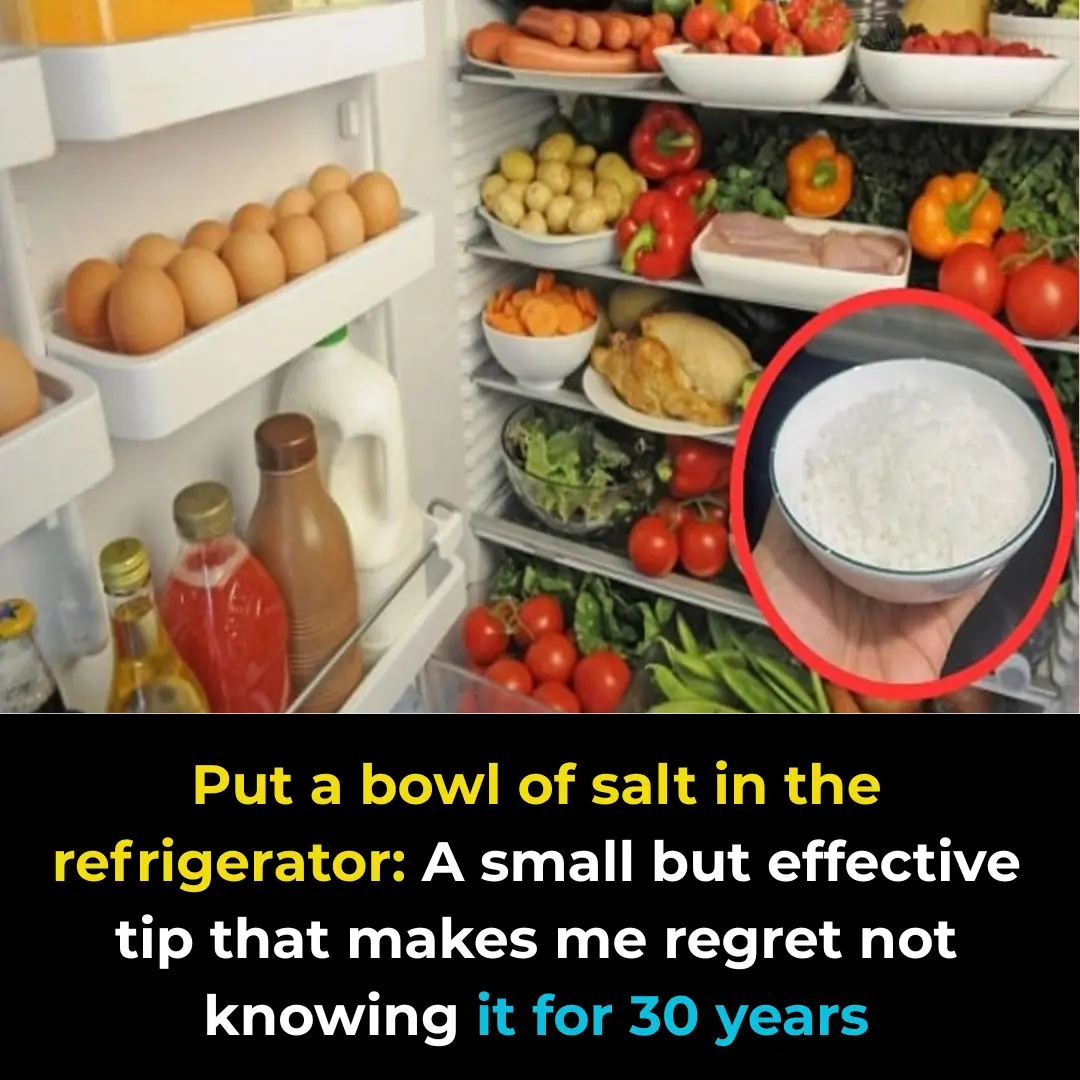 Place a bowl of salt in the fridge: A simple yet powerful trick I wish I had known 30 years ago