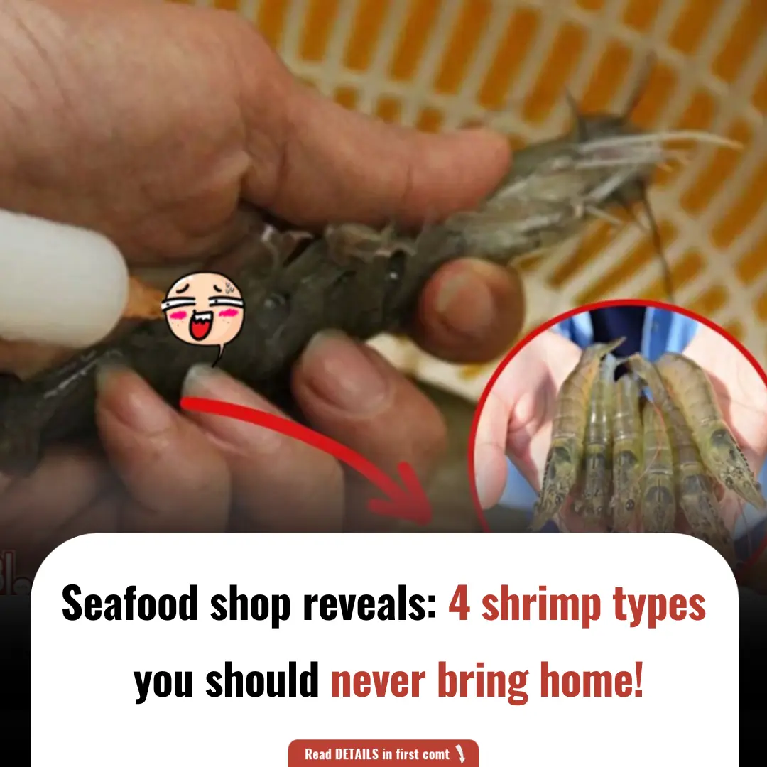 Seafood seller warns: Avoid these 4 types of shrimp or risk your health!