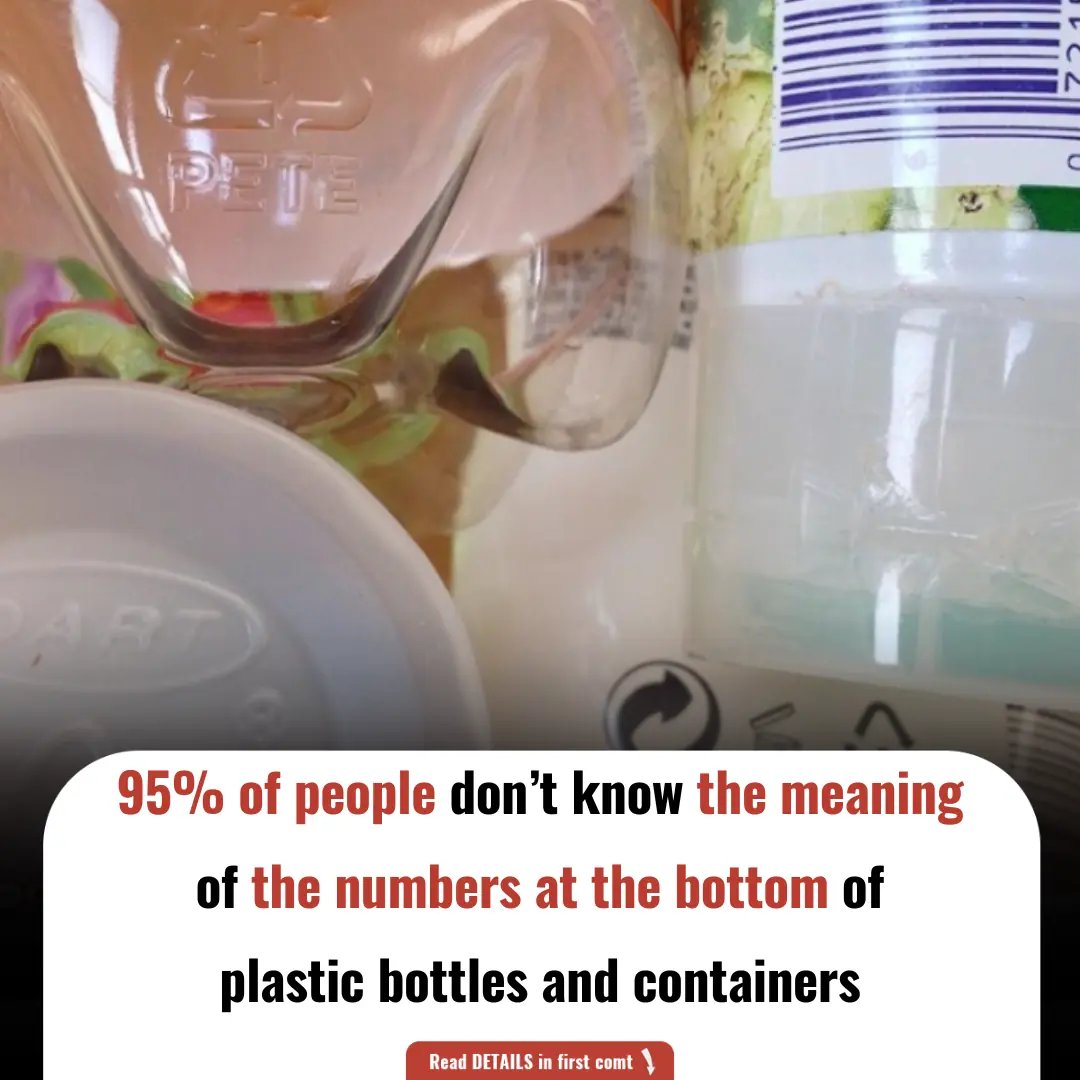 95% of People Don’t Know the Meaning of the Numbers at the Bottom of Plastic Bottles and Containers