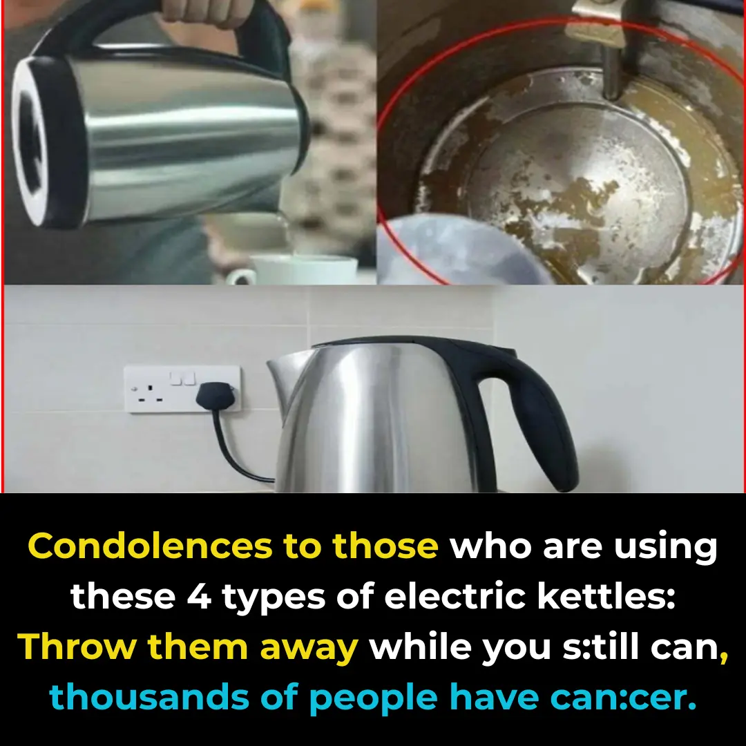 Condolences to those who are using these 4 types of electric kettles: Throw them away while you still can, thousands of people have already developed c:ancer.