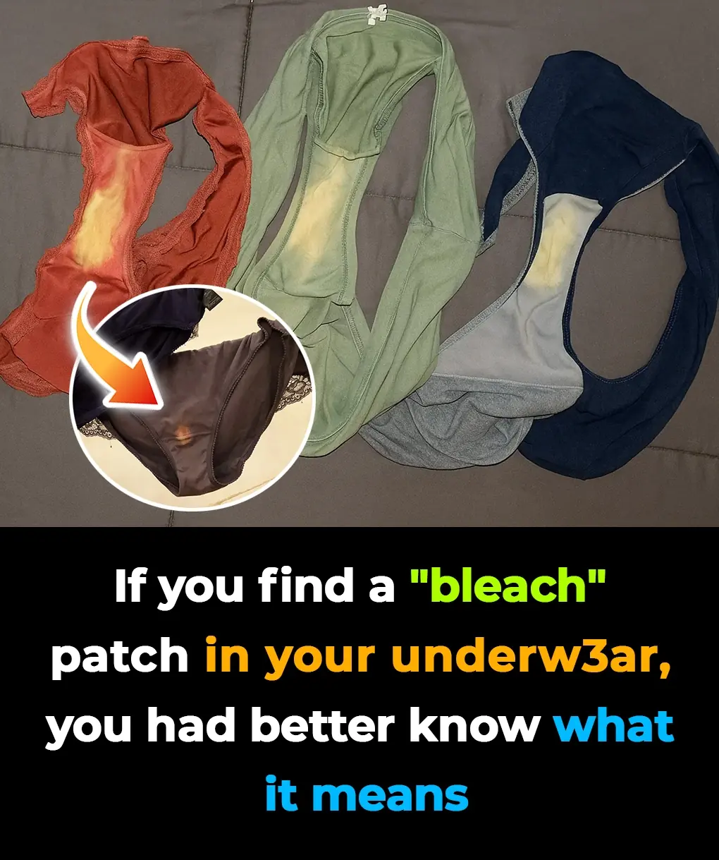 The Shocking Truth Behind “Bleach” Stains on Underwear – What Your Body Is Really Telling You