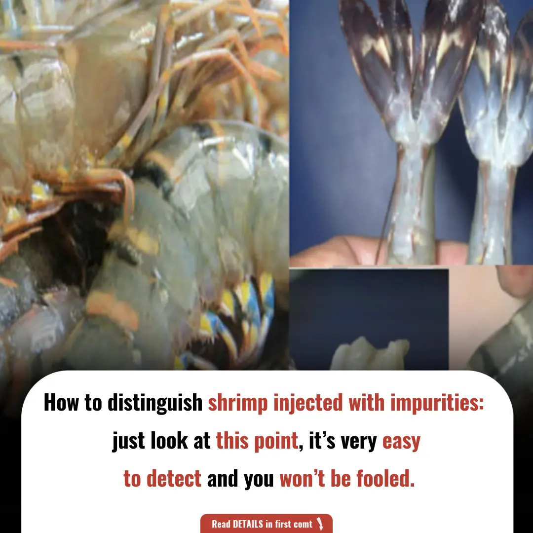 How to Distinguish Shrimp Injected with Impurities: Easy Tips to Protect Your Health