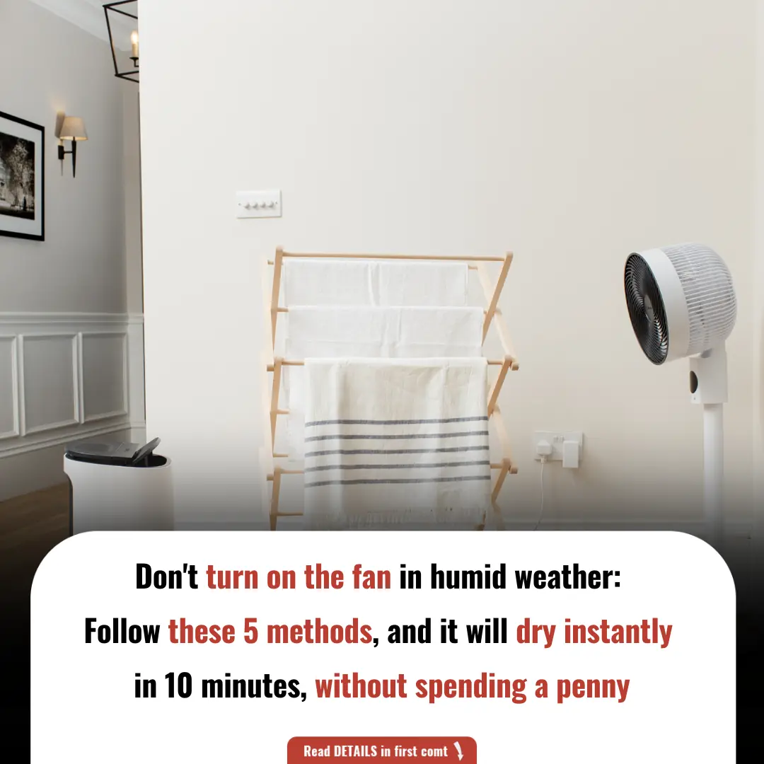 Don’t Turn on the Fan in Humid Weather: Follow These 5 Methods, and It Will Dry Instantly in 10 Minutes, Without Spending a Penny