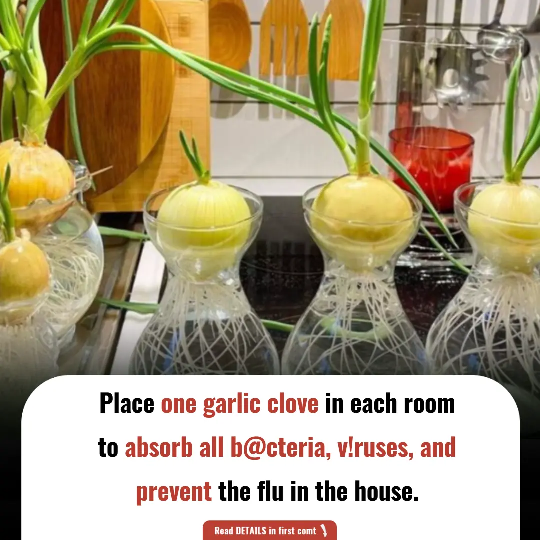 Place One Garlic Clove in Each Room to Absorb All Bacteria, Viruses, and Prevent the Flu in the House