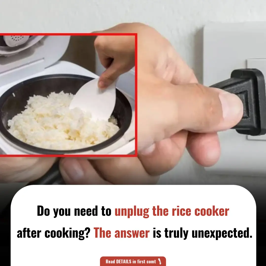 Do You Need to Unplug the Rice Cooker After Cooking? The Answer Is Truly Unexpected