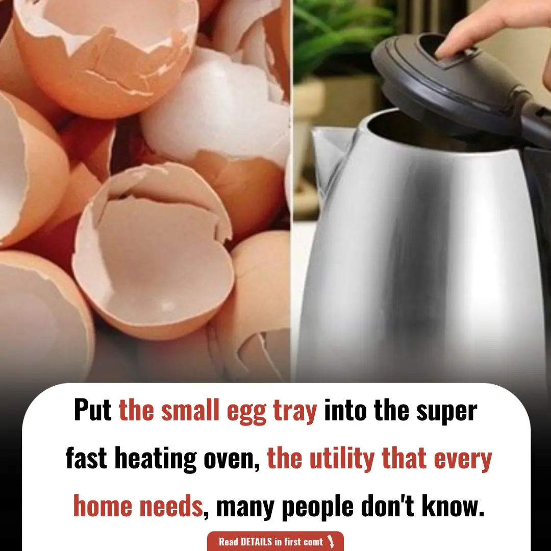 Put the Small Egg Tray into the Super Fast Heating Oven, the Utility That Every Home Needs, Many People Don't Know