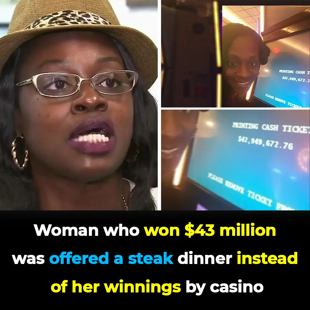Casino Scandal: Woman Denied £33 Million Jackpot and Offered a Steak Dinner Instead