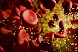 Scientists Discover an “Off Switch” for Cholesterol — And It Could Save Millions of Lives