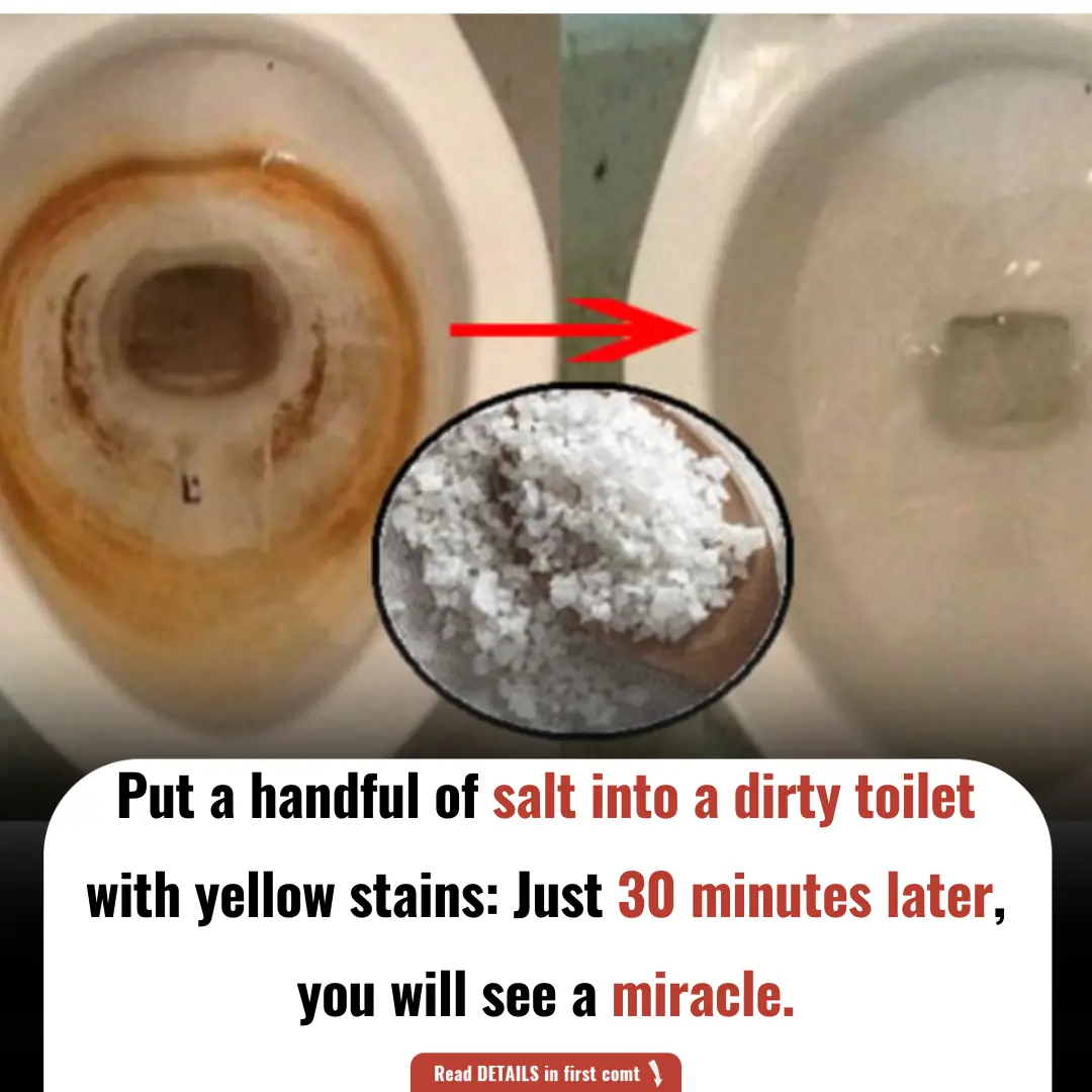 Put a handful of salt into a dirty toilet with yellow stains: Just 30 minutes later, you will see a miracle