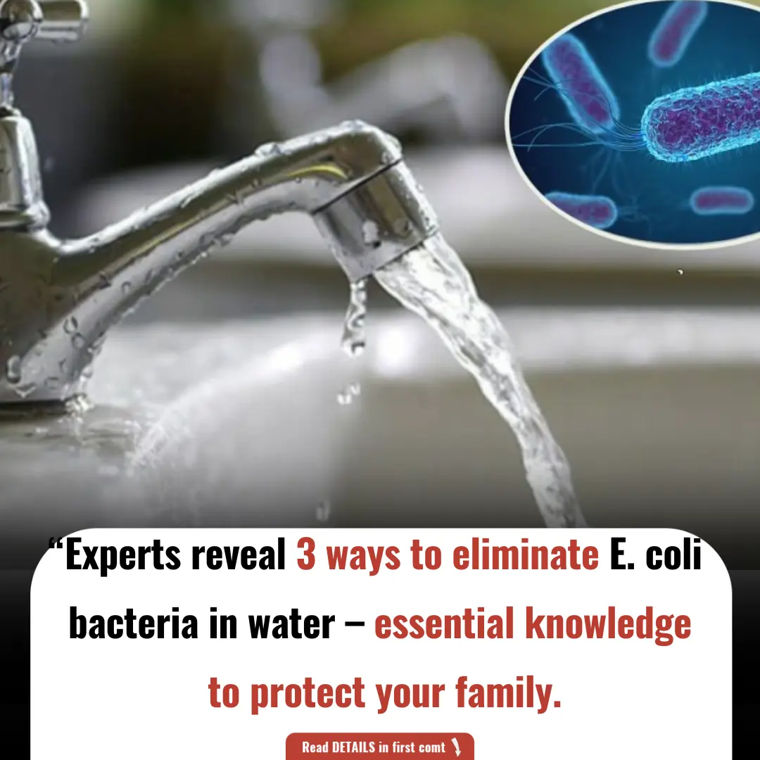 Experts reveal 3 ways to eliminate E. coli bacteria in water – essential knowledge to protect your family