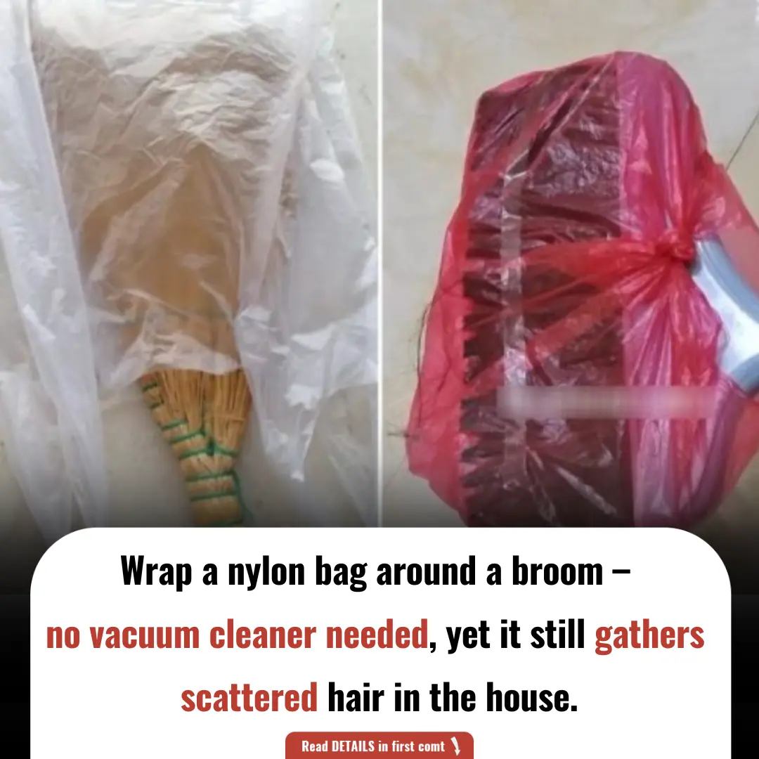 Wrap a nylon bag around a broom – no vacuum cleaner needed, yet it still gathers scattered hair in the house.