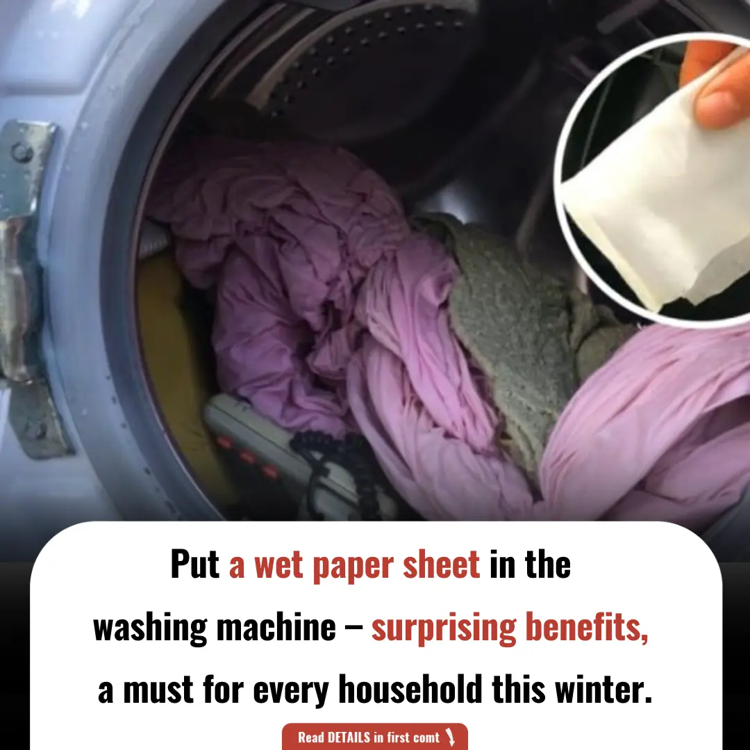 Put a Wet Paper Sheet in the Washing Machine – Surprising Benefits, Something Every Household Needs This Winter