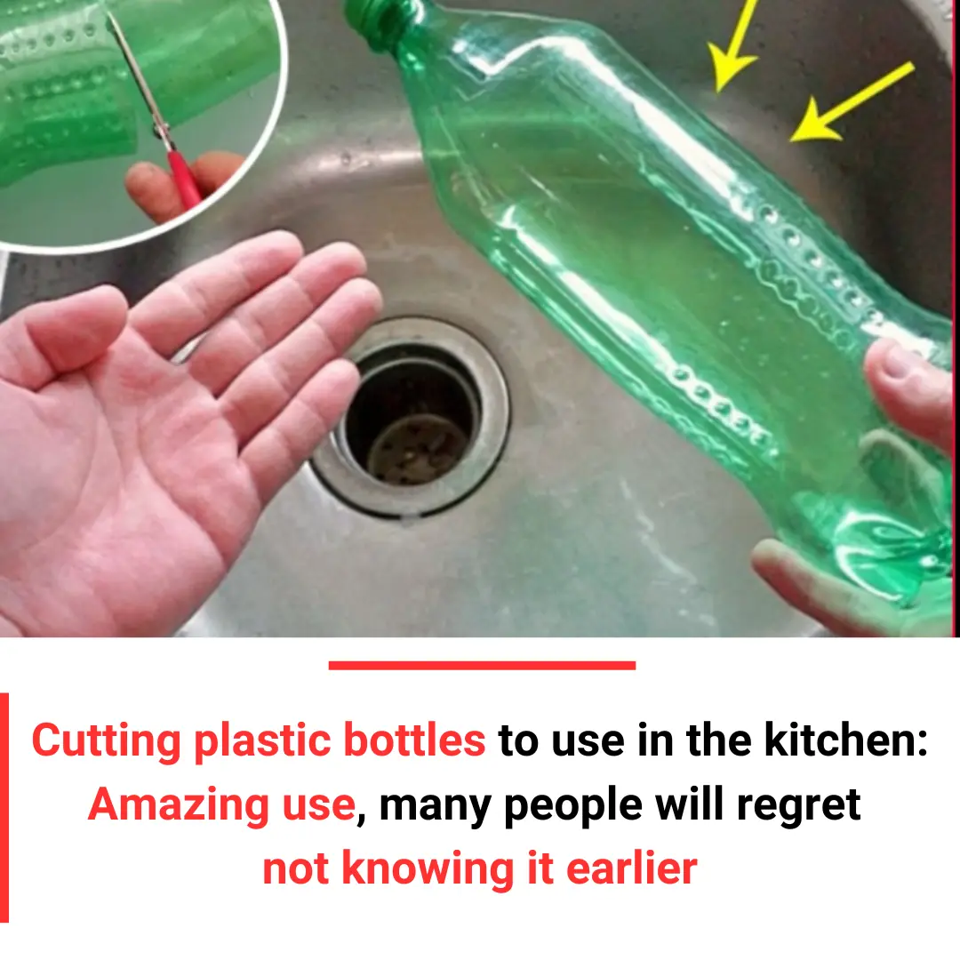 Cutting Plastic Bottles for the Kitchen: Amazing Uses You’ll Wish You Knew Sooner