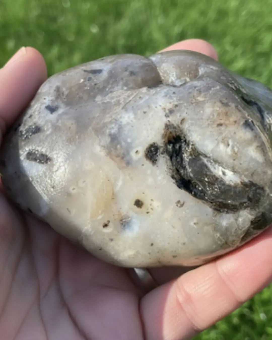 Couple’s Walk Leads to a Rare $70,000 Ambergris