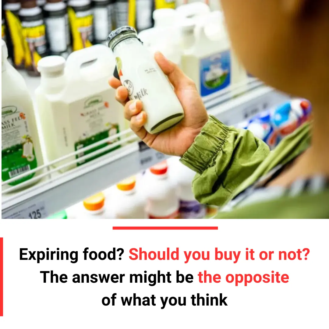 Expiring Food: Should You Buy It or Not? The Answer Might Be the Opposite of What You Think
