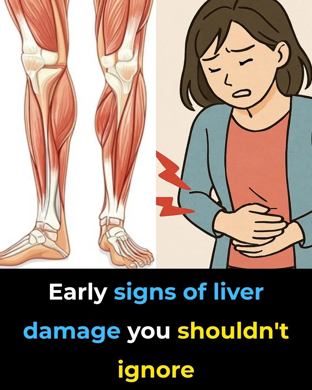 Early Signs of Liver Damage & How to Strengthen Your Liver