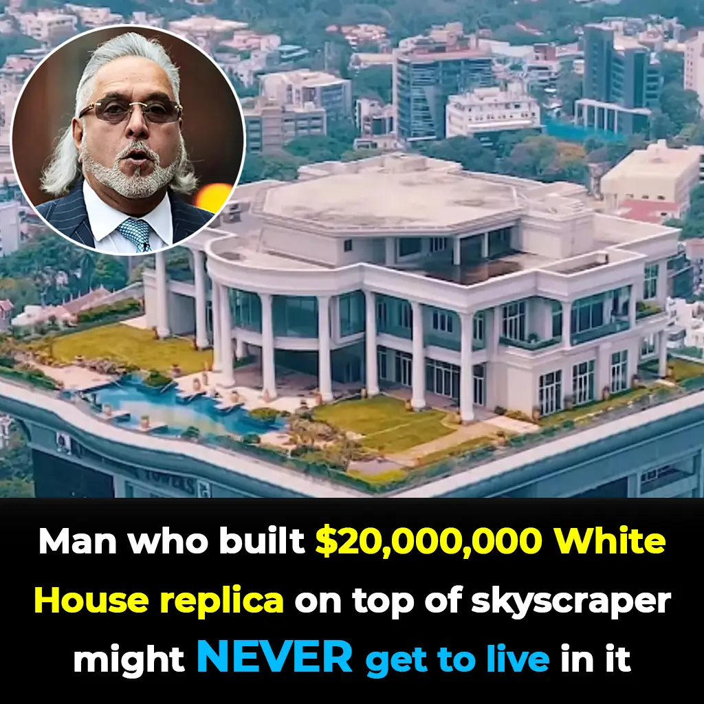 Man who built $20,000,000 White House replica on top of skyscraper might never get to live in it