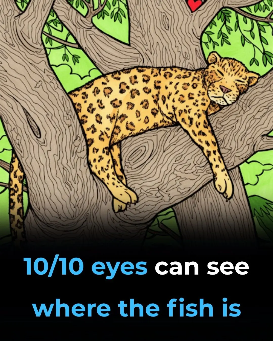 The Hidden Fish Puzzle That’s Stumping the Internet