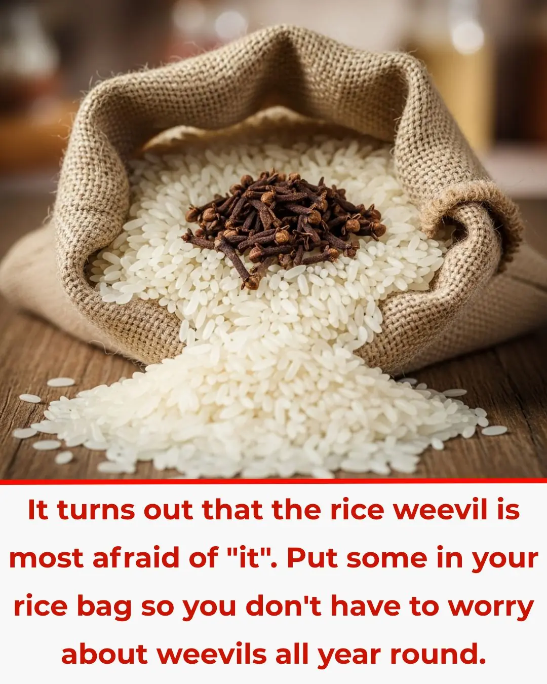 It turns out that the rice weevil is most afraid of "it". Put some in your rice bag so you don't have to worry about weevils all year round