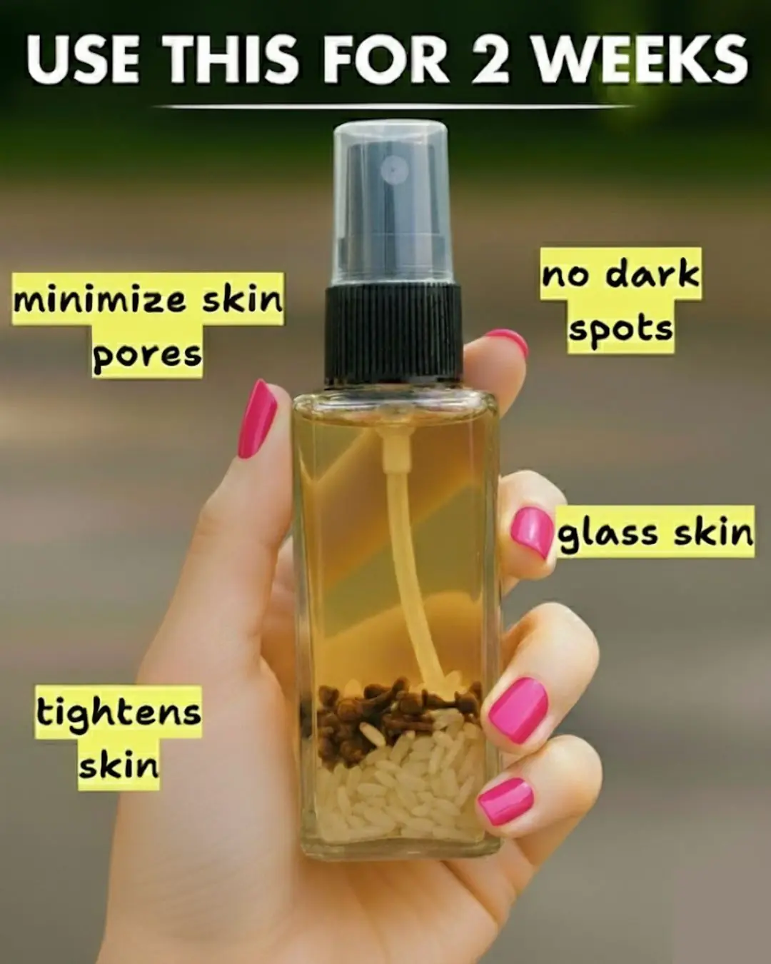 Homemade Rice Water & Clove Toner