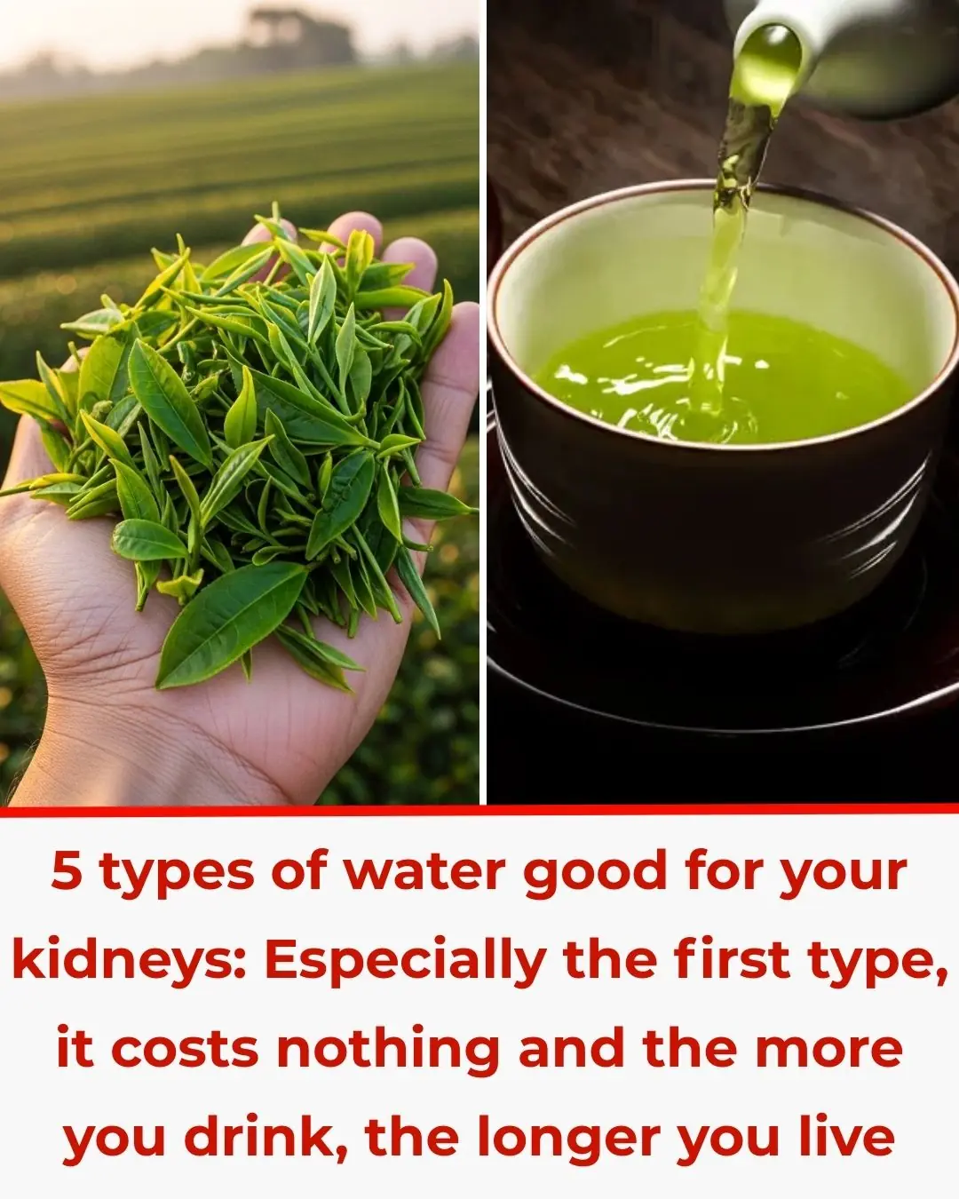 5 types of water good for your kidneys: Especially the first type, it costs nothing and the more you drink, the longer you live