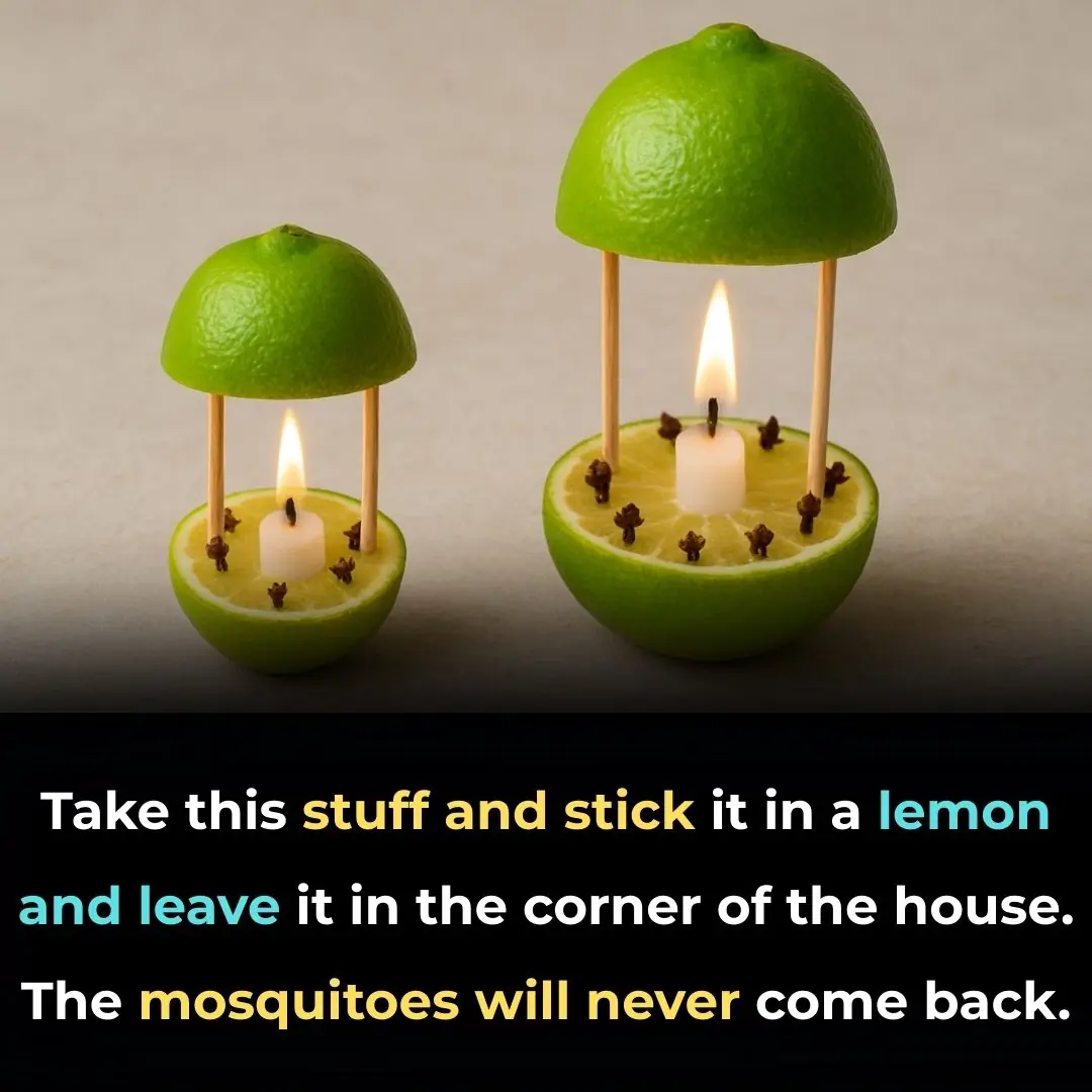 Take this stuff and stick it in a lemon and leave it in the corner of the house. The mosquitoes will never come back.