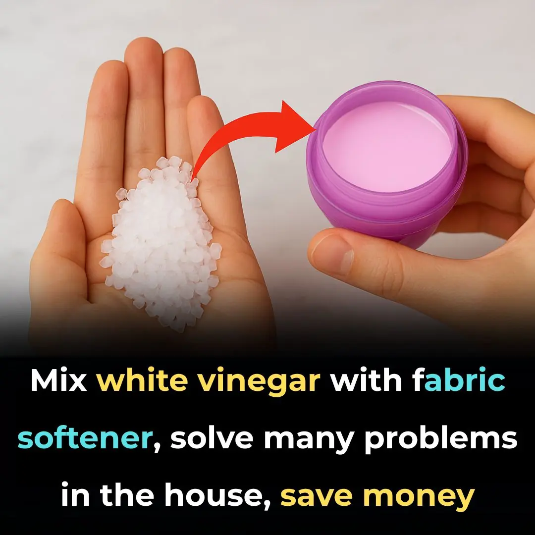 Mix white vinegar with fabric softener, solve many problems in the house, save money