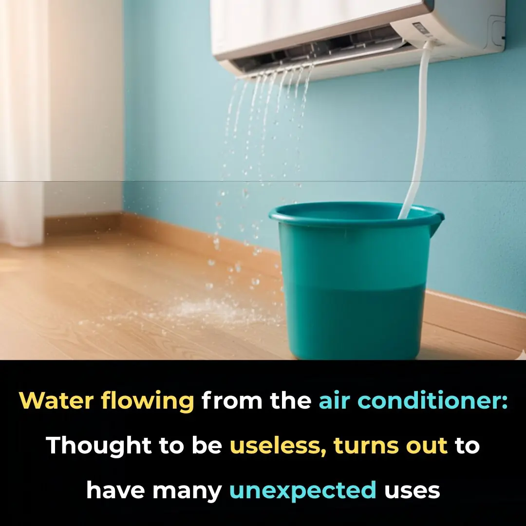 Water flowing from the air conditioner: Thought to be useless, turns out to have many unexpected uses