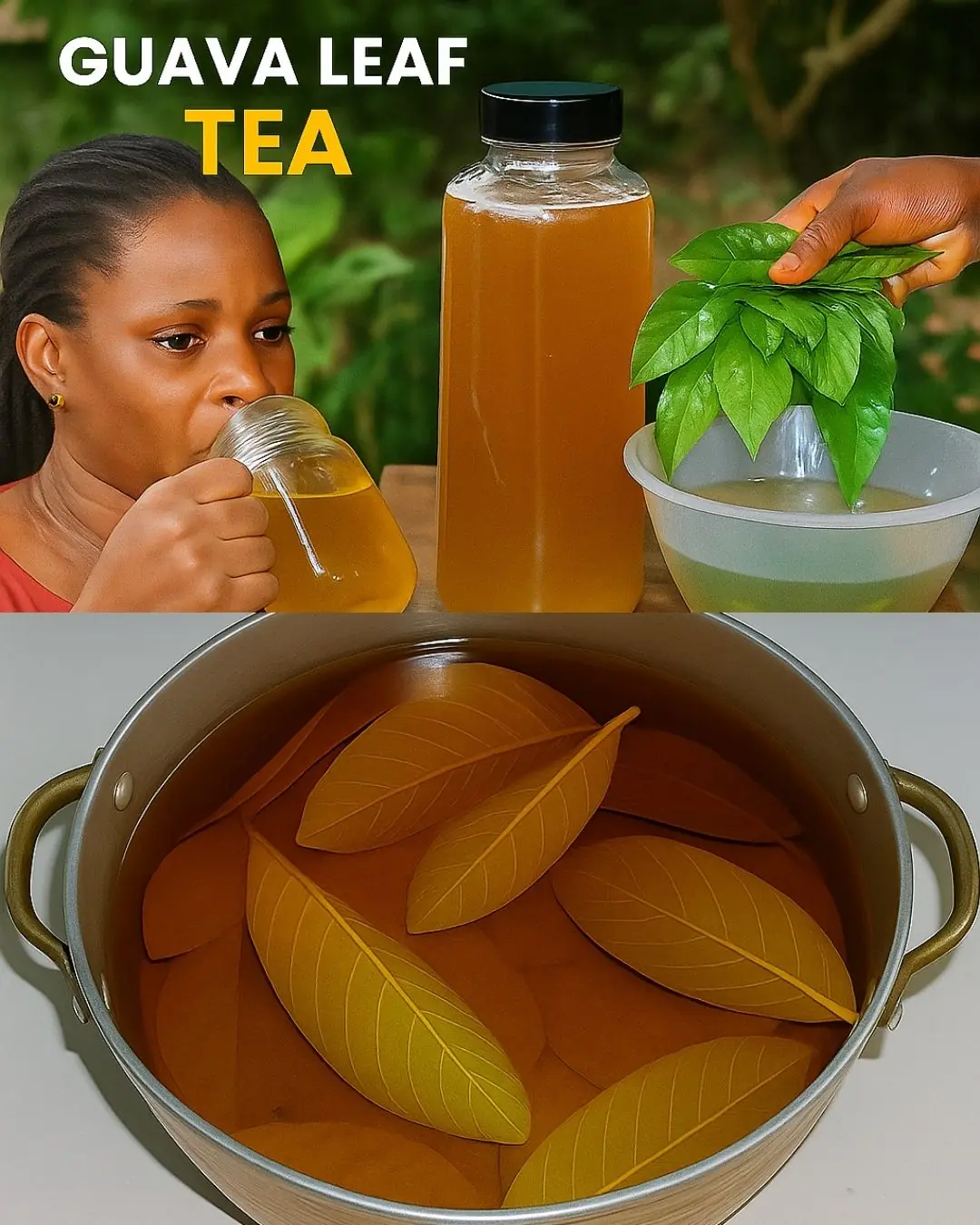 🌿 17 Health Conditions That May Benefit from Guava Leaf Tea + Easy Homemade Recipe