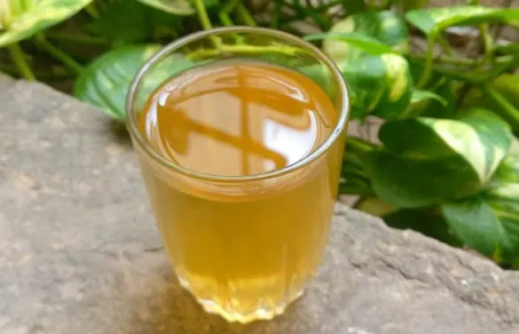 Weight Loss Drink: Consume These 2 Detox Drinks To Lose Weight