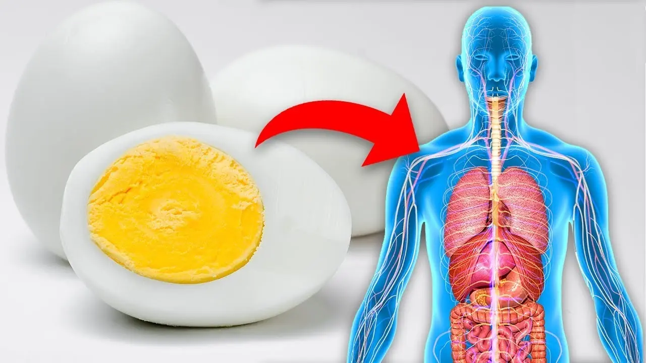 Here’s What Happens to Your Body When You Eat Two Eggs a Day. I Would Have Never Believed No. 4… Unbelievable!!!