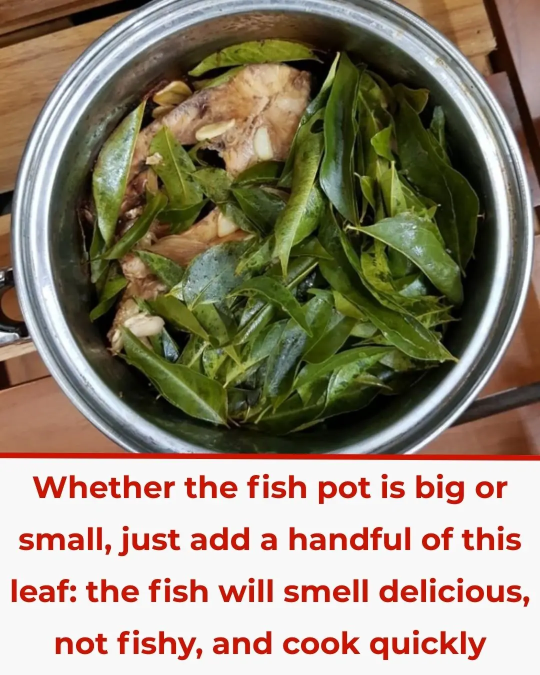 Simmering Fish With Just One Handful of This Leaf: Rich Aroma, No Fishy Smell, Tender to the Bone
