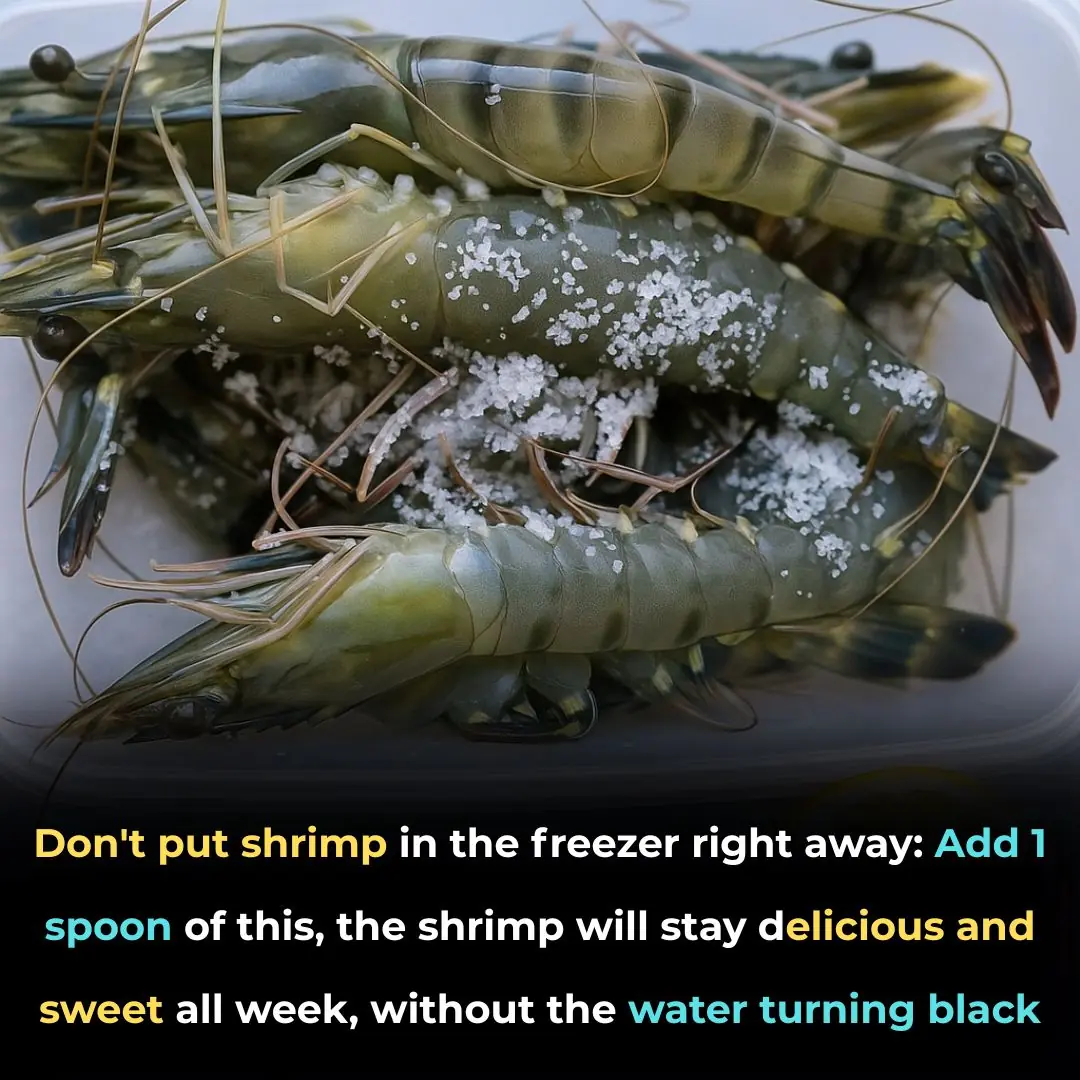 Don't put shrimp in the freezer right away: Add 1 spoon of this, the shrimp will stay delicious and sweet all week, without the water turning black