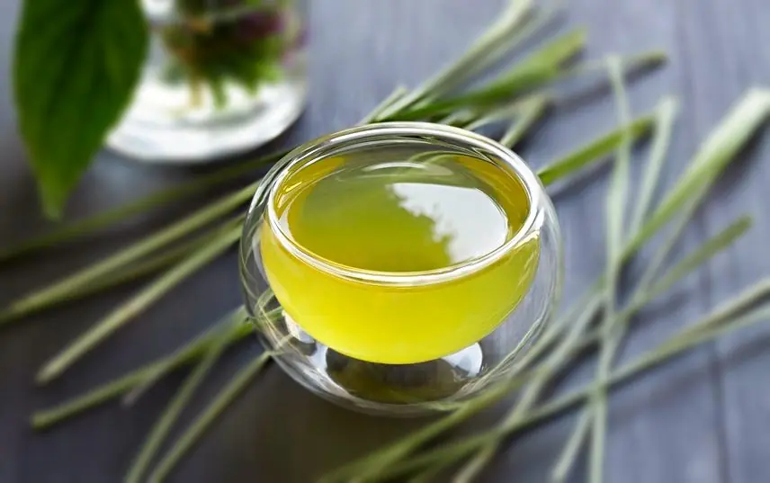 12 Thick Eyebrow Growth Home Remedies – Eyebrow Growth Oil & Serum