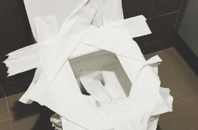 The Dirty Secret About Toilet Paper on Public Seats