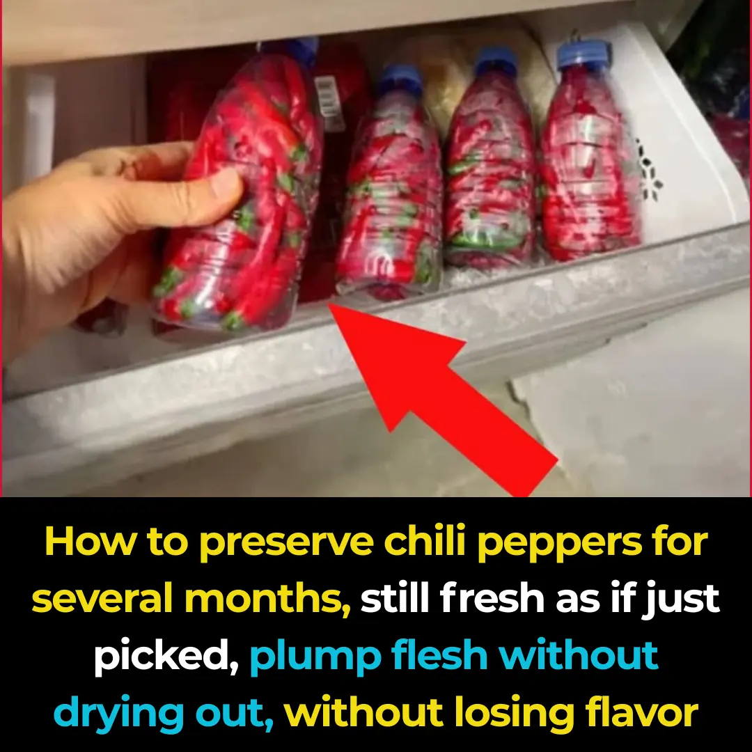 How to store chili peppers for months, keeping them as fresh as if they were just picked, with firm, plump flesh that doesn't dry out or lose flavor.