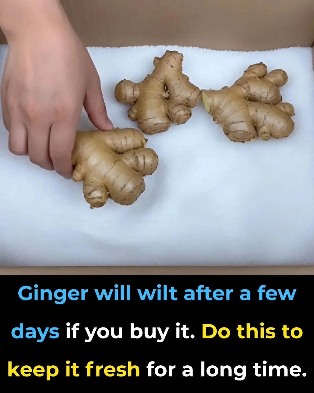 Effective Methods to Keep Ginger Fresh for Extended Periods