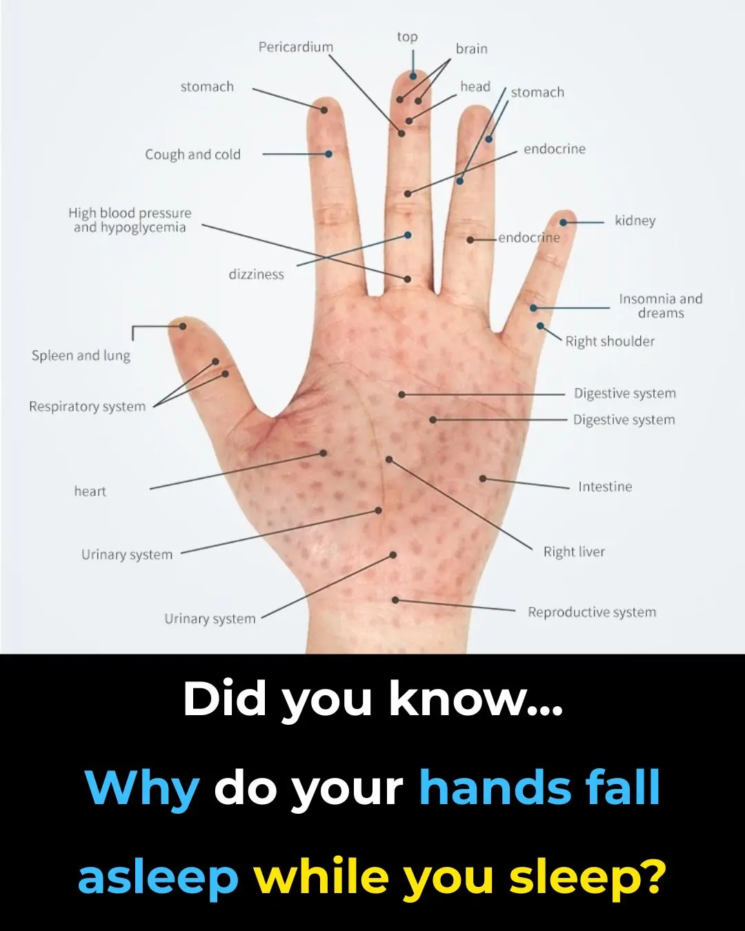 Why Your Hands Go Numb While You Sleep
