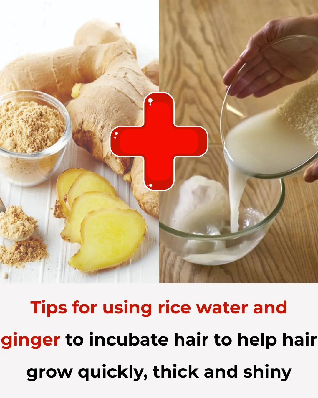 Tips for using rice water and ginger to incubate hair to help hair grow quickly, thick and shiny
