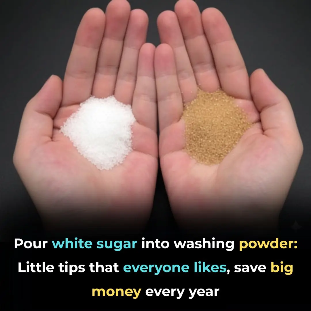 Pouring white sugar into washing powder: A little trick that everyone likes, saving big money every year