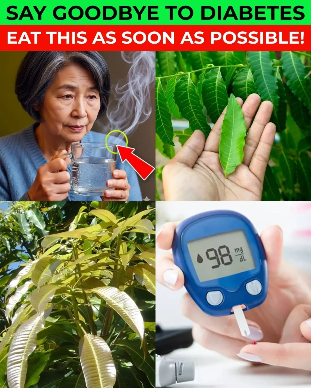 13 Powerful Leaves That Help Manage Diabetes Naturally