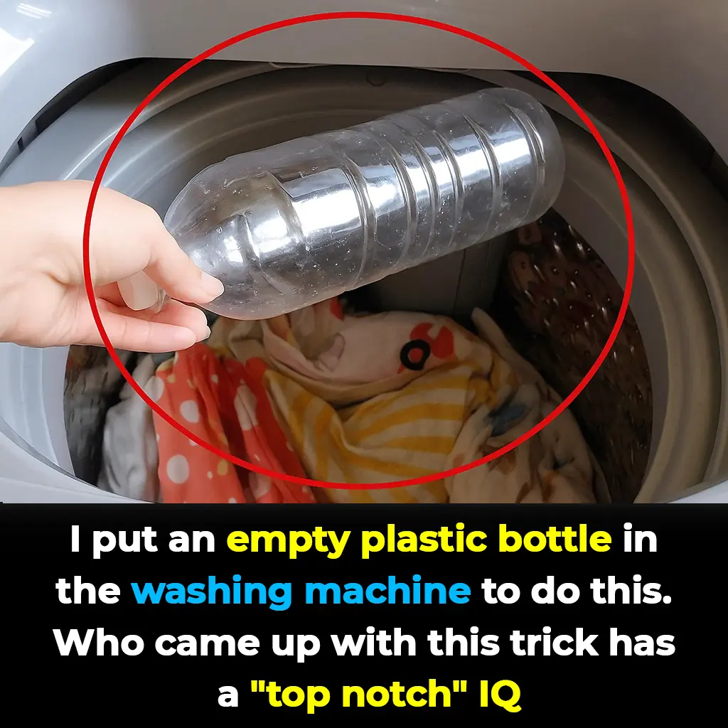 Genius Laundry Hack: Why Putting an Empty Plastic Bottle in Your Washing Machine Can Save Time and Hassle