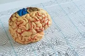 Scientists Have Discovered Hidden Brain Patterns That May Predict Your Intelligence